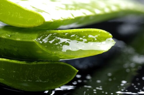 Aloes na wypadanie włosów
