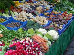 Jak zrobić szampon domowej roboty?