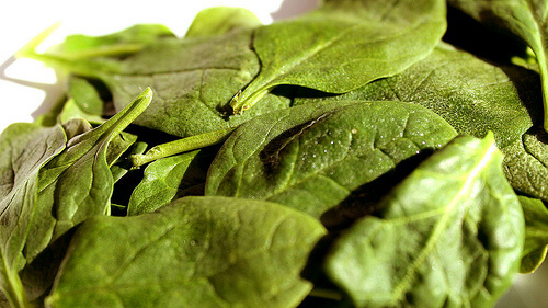 Warzywa zielono listne na kręgosłup