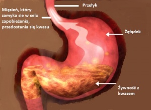 Refluks żołądkowo-przełykowy i właściwa dieta