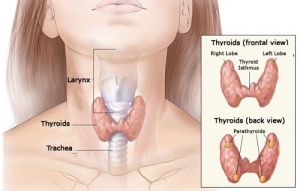 Zaburzenia Hormonalne: Objawy i Przyczyny