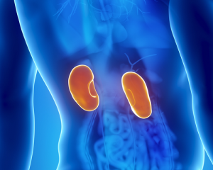 Gdy nerki wołają o pomoc!