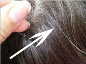 Tajemnica siwych włosów — obalamy mity!