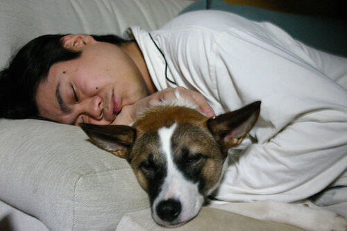 Spanie z psem