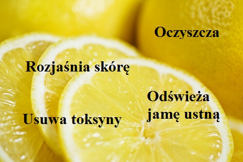 Świeża cytryna