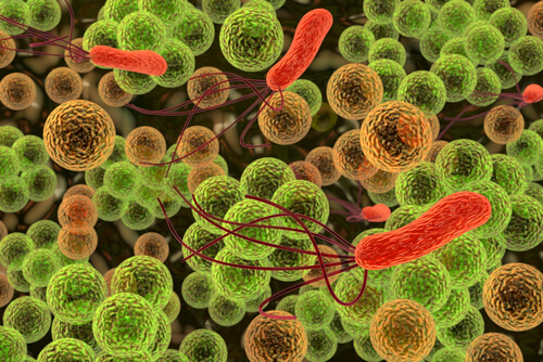 ebola