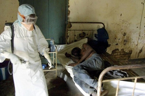 wirus ebola