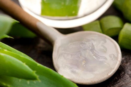 Aloes