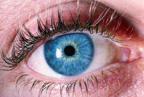 Jak dbać o wzrok? – 5 skutecznych rad