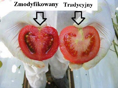 Żywność transgeniczna — co o niej wiesz? Żywność transgeniczna — co o niej wiesz?