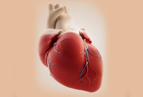 3#:Zawal serca-choroby serca.jpg