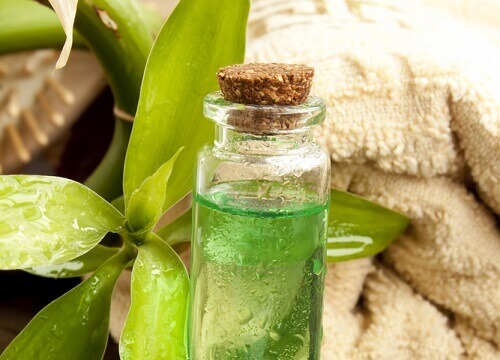 Olejek z drzewa herbacianego