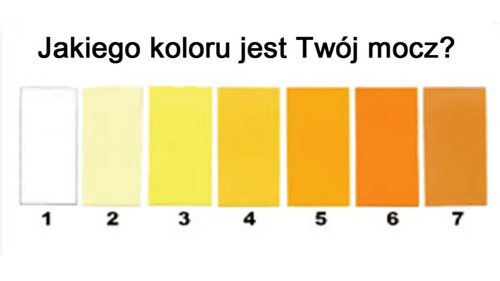 barwa-moczu.jpg Barwa moczu