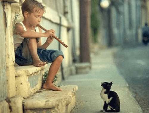Chłopiec gra na flecie