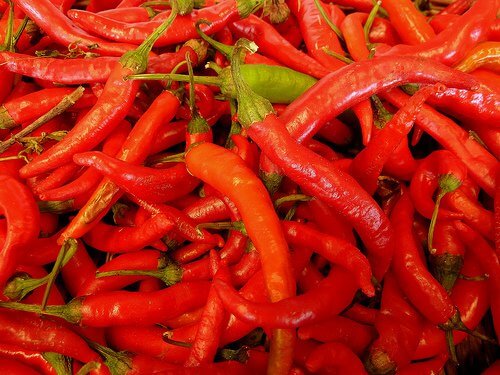 Pieprz cayenne na tamowanie krwawienia