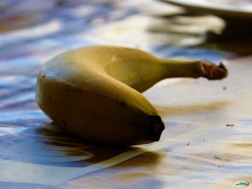 banan źródłem potasu, więc ogranicza wzdęcia