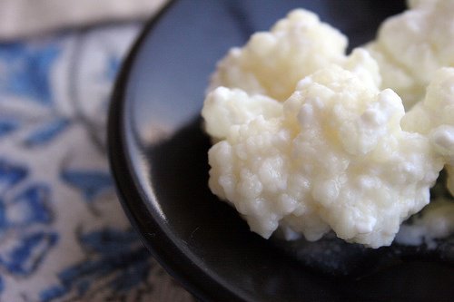 Kefir domowej roboty