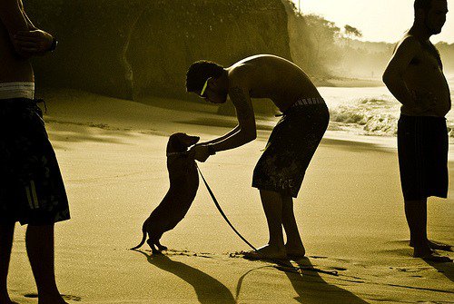 Taniec z psem na plaży