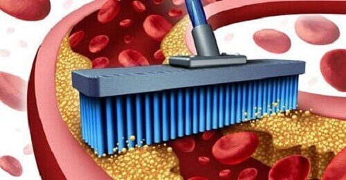 Odblokuj żyły i tętnice dzięki 10 produktom Odblokuj żyły i tętnice dzięki 10 produktom