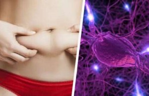 Poziom hormonów, unormuj go, aby spalić tłuszczyk