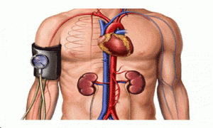 Obniż nadciśnienie tętnicze bez leków!