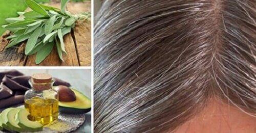 Siwe włosy – Skąd się biorą i jak je ukryć?