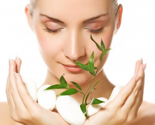 Rośliny lecznicze, które łagodzą stres: 7 przykładów