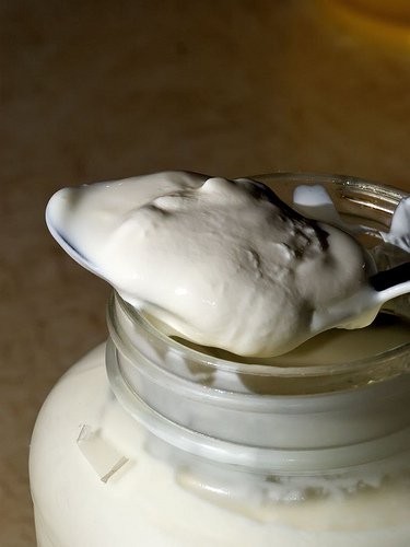 Jogurt