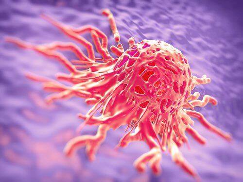 Komórka nowotworowa