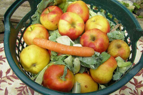 Mieszanka owoców i warzyw