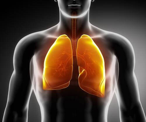 Najlepsze napary wzmacniające płuca