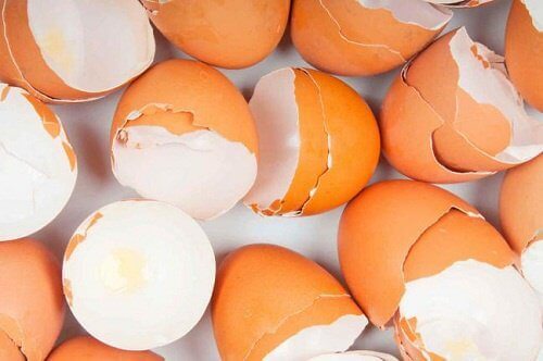 Skorupki jaj - poznaj 5 sposobów, jak je wykorzystać