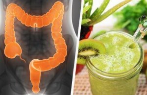 Zespół jelita drażliwego - 3 lecznicze smoothie