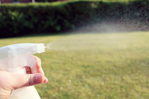 Spray