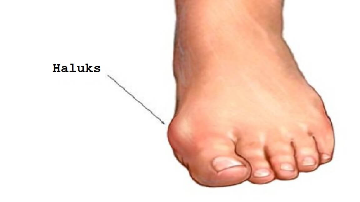 Haluks