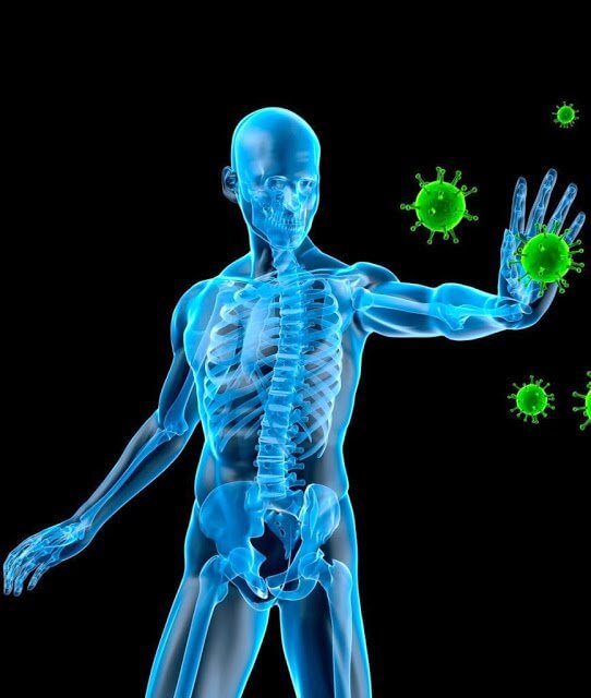 Układ immunologiczny