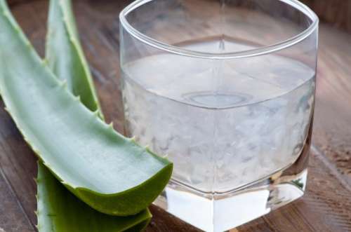 Aloes i zdrowa okrężnica