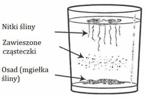 Drożdżaki ― Domowy test i sposoby leczenia