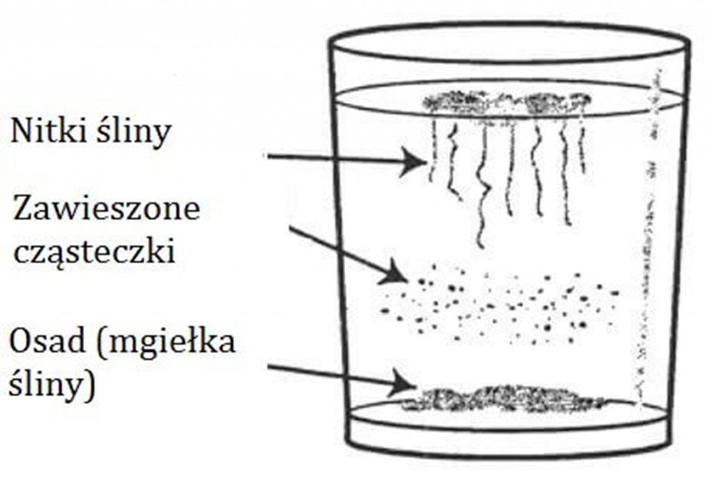 domowy-test-na-drożdzaki.jpg