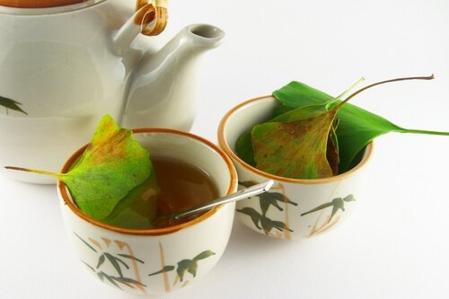 Gingko Biloba