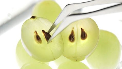 Usuwanie pestek winogron