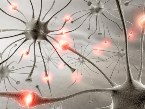 Zdrowy mózg - neurony a sen