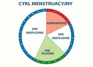 Płodne dni – czy wiesz jak je wyznaczyć?