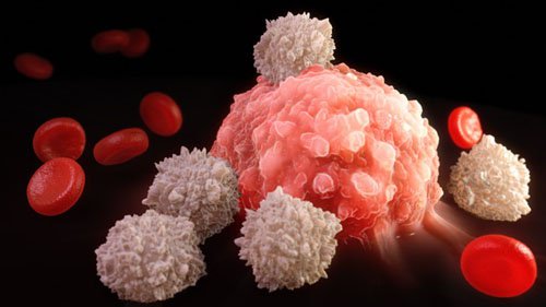 Cukier - Paliwo dla komórek nowotworowych