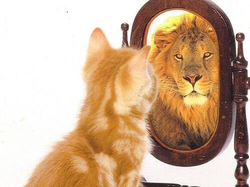 Odbicie lwa w lustrze