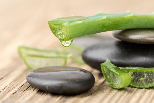Aloes na oczyszczanie wątroby