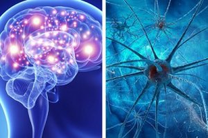 Fernández: "Neuropediatria to podstawa"