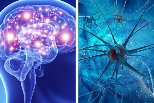 Fernández: "Neuropediatria to podstawa"