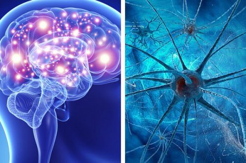 Neurony — kilka nawyków, które je niszczą