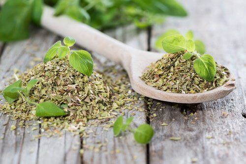 Oregano pomocne w zwalczaniu raka